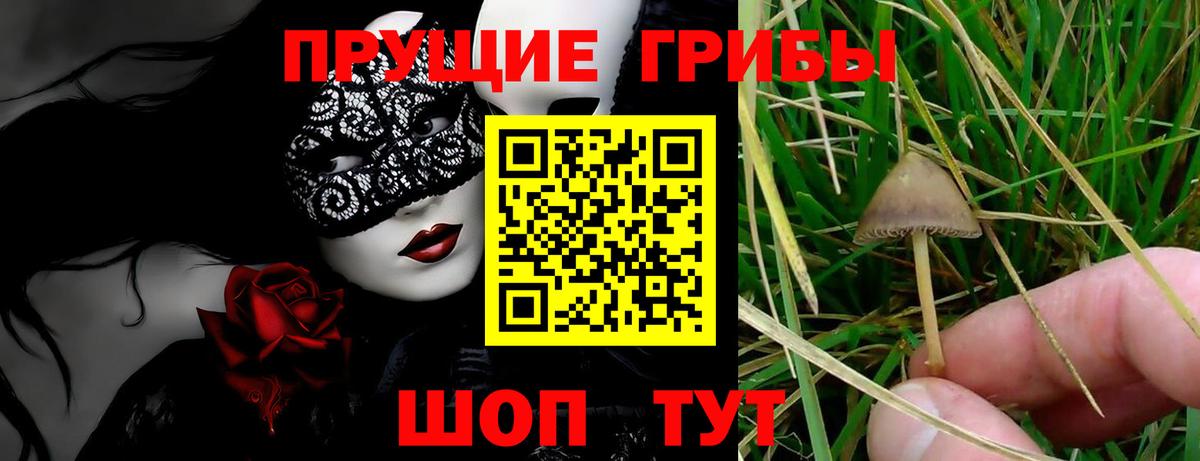 закладка  Галлюциногенные грибы мухоморы  Вход с VPN  Донской 